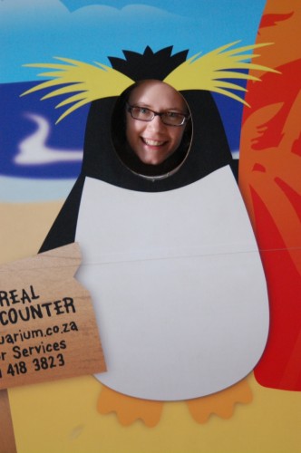 Erica's face on a rockhopper penguin