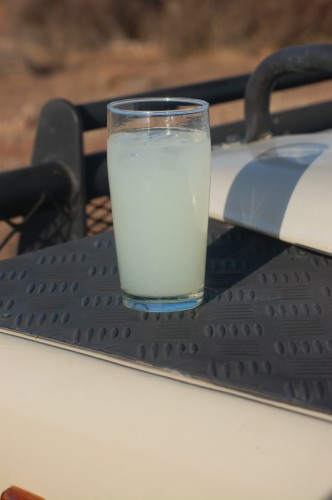 Sundowner - vodka and dry lemon