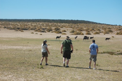 Simone accompanies Joel and Rand in their attempt to sneak up on a herd of springbok