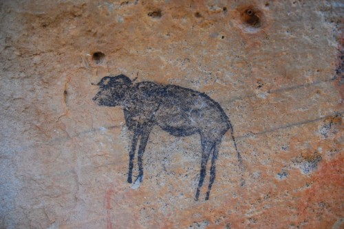 Rock art (a buffalo)