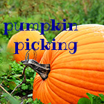 pumpkin-thumb