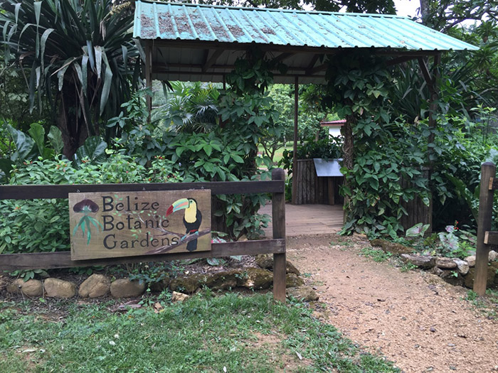 belize_botanic_gardens